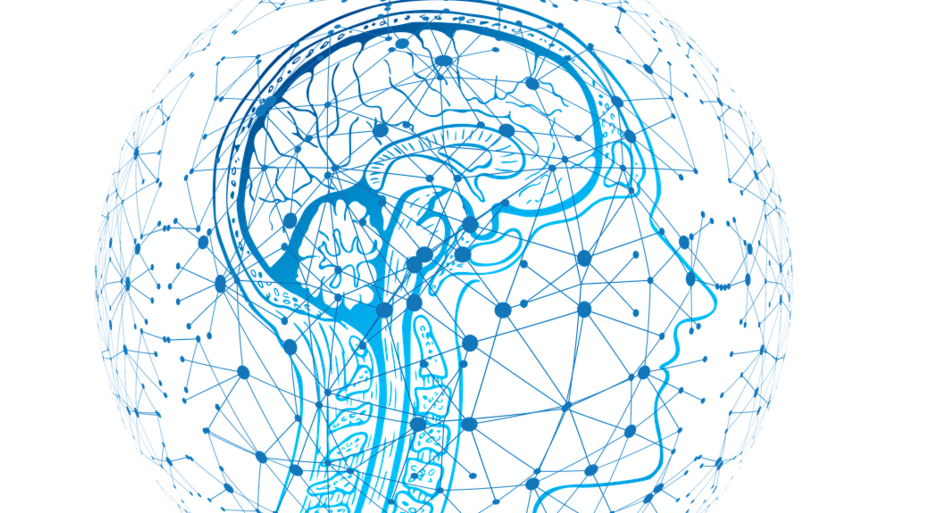 La neuropsicologia